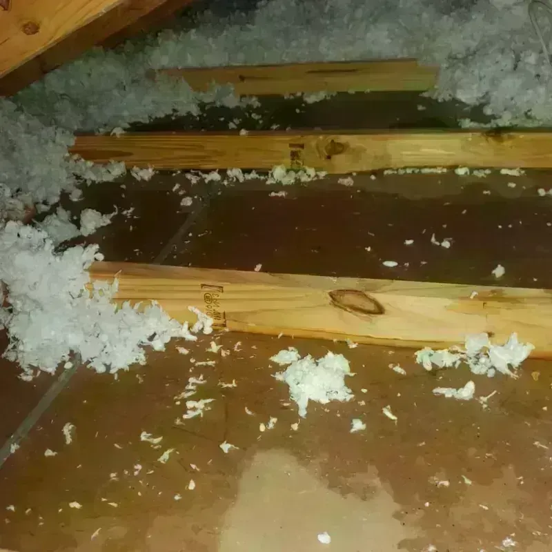 Attic Water Damage in East Washington, PA