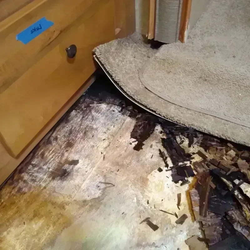 Best Wood Floor Water Damage Service in East Washington, PA